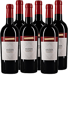 Vinosia Salènde Appassimento Primitivo IGT 2019 6 x 0,75l Vinosia Salènde Appassimento Primitivo IGT 2019 6 x 0,75l