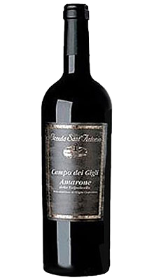 Tenuta Sant Antonio Campo dei Gigli Amarone della Valpolicella DOCG 2012 Tenuta Sant Antonio Campo dei Gigli Amarone della Valpolicella DOCG 2012