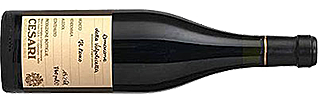 Gerardo Cesari Il Bosco Amarone della Valpolicella Classico DOCG 2010 Gerardo Cesari Il Bosco Amarone della Valpolicella Classico DOCG 2010
