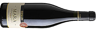 Gerardo Cesari Mara Ripasso Valpolicella Superiore DOC 2014 Gerardo Cesari Mara Ripasso Valpolicella Superiore DOC 2014