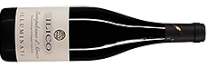 Illuminati Ilico Montepulciano d'Abruzzo DOC 2016