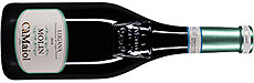 Provenza Ca Maiol Lugana Molin DOC 2019