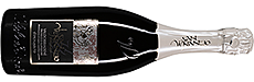 San Venanzio Fortunato Prosecco Millesimato DOCG 2018 San Venanzio Fortunato Prosecco Millesimato DOCG 2018