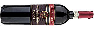 Santi Amarone della Valpolicella Proemio DOCG 2013