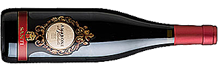 Santi Amarone della Valpolicella Classico Santico DOCG 2015