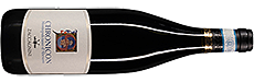 Zaccagnini Chronicon Montepulciano d'Abruzzo DOC 2017